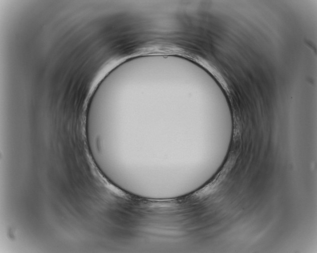 X0000096661486200803041150