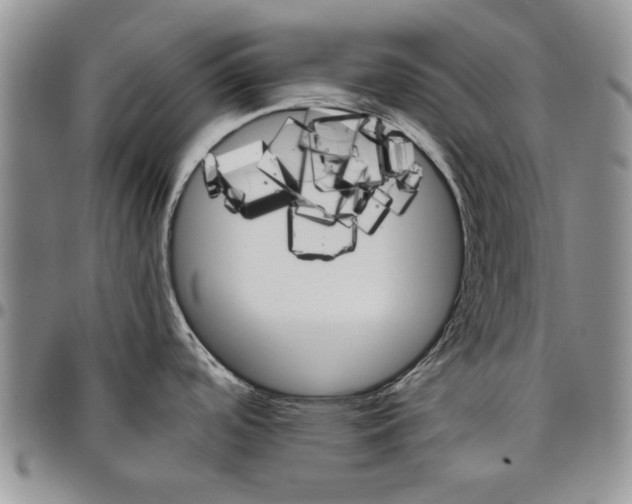 X0000096661488200803041150