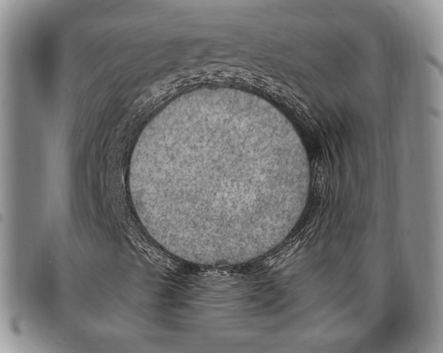 X0000096661489200803041150