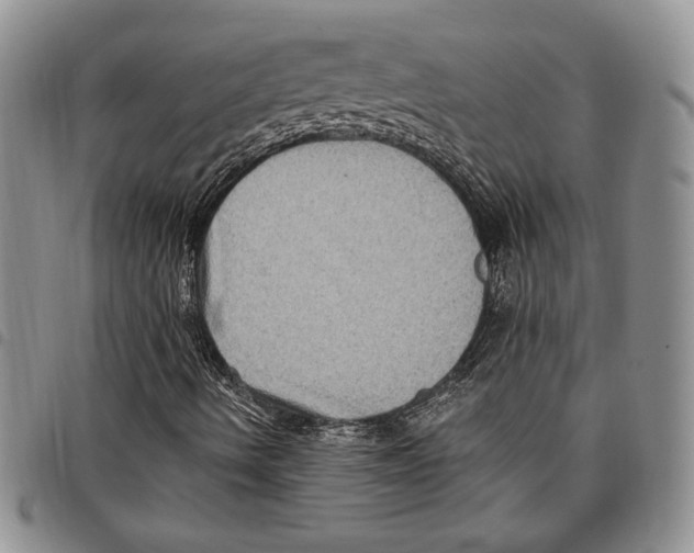 X0000096661490200803041150