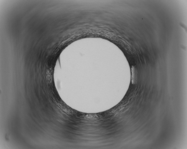 X0000096661491200803041150