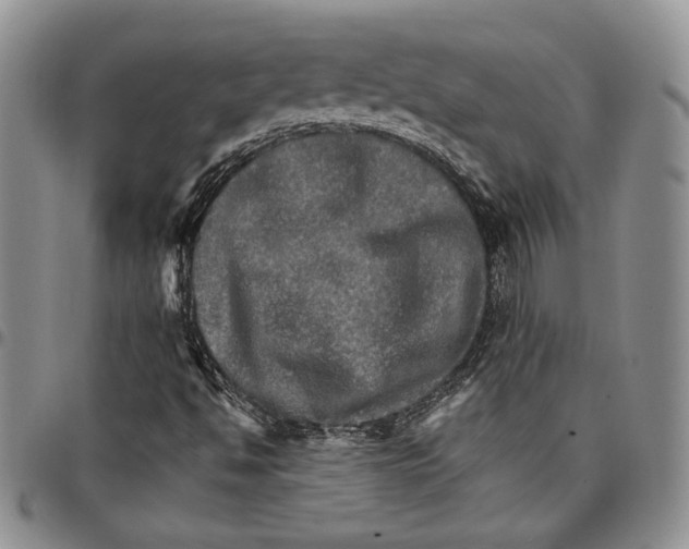 X0000096661494200803041150