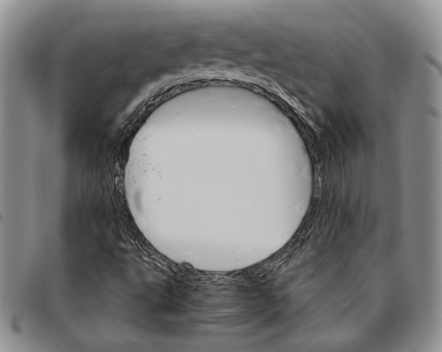 X0000096661495200803041150