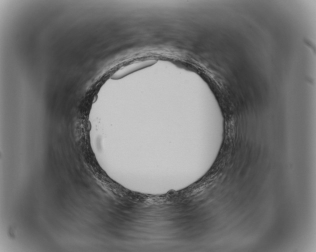 X0000096661496200803041150