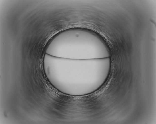 X0000096661497200803041150