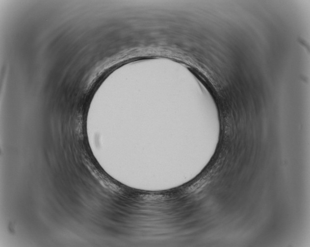 X0000096661499200803041150