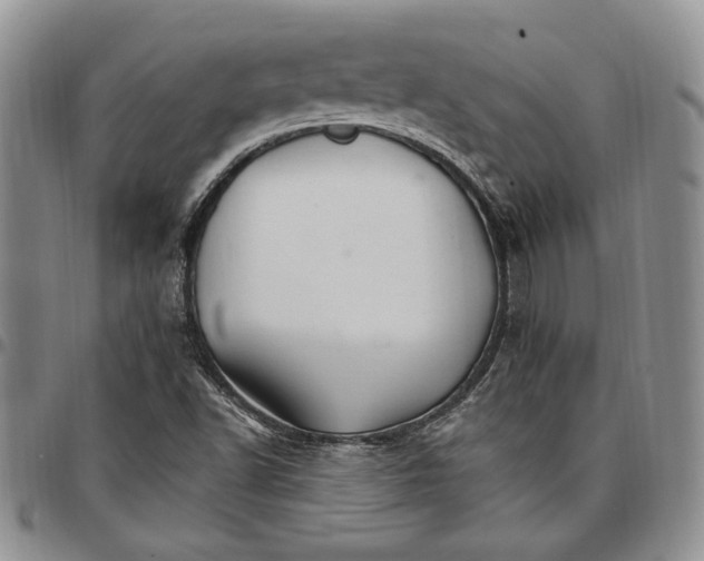 X0000096661502200803041150