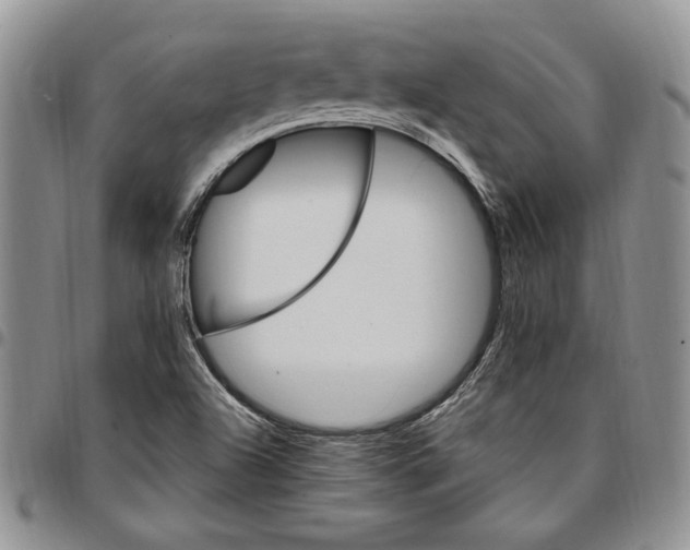 X0000096661504200803041150