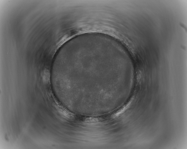 X0000096661505200803041150