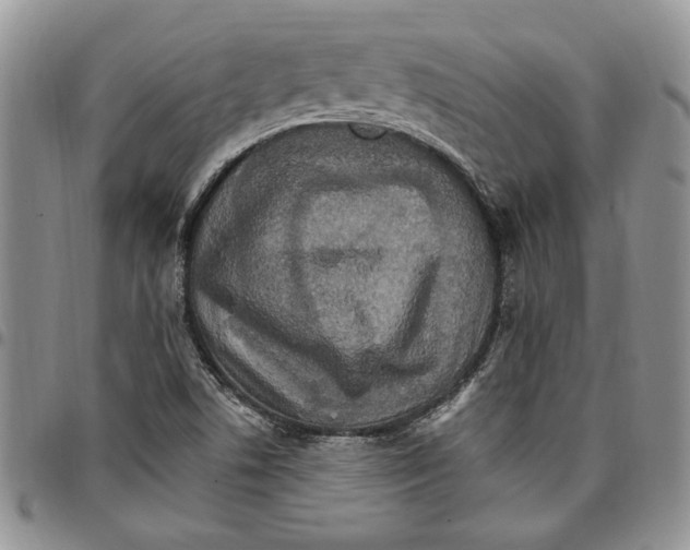 X0000096661506200803041150