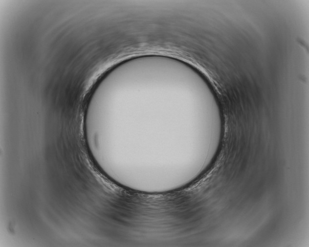 X0000096661507200803041150