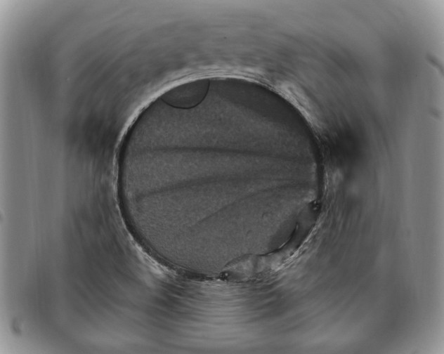 X0000096661508200803041150