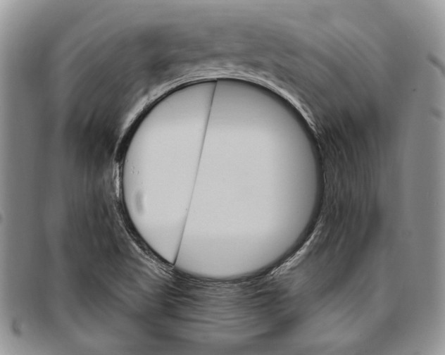 X0000096661509200803041150