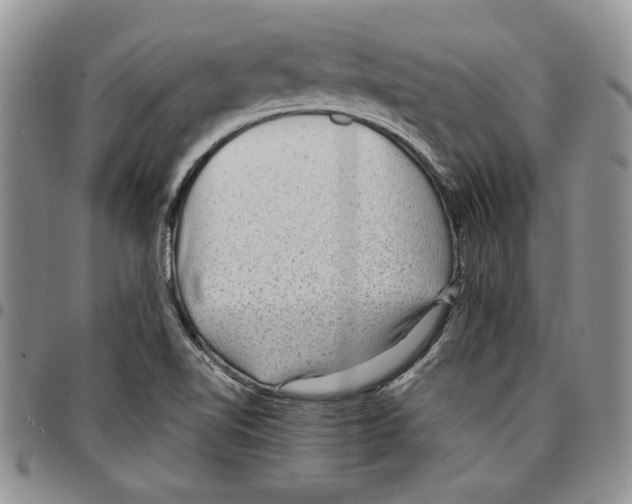 X0000096661510200803041150