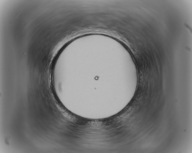 X0000096661511200803041150