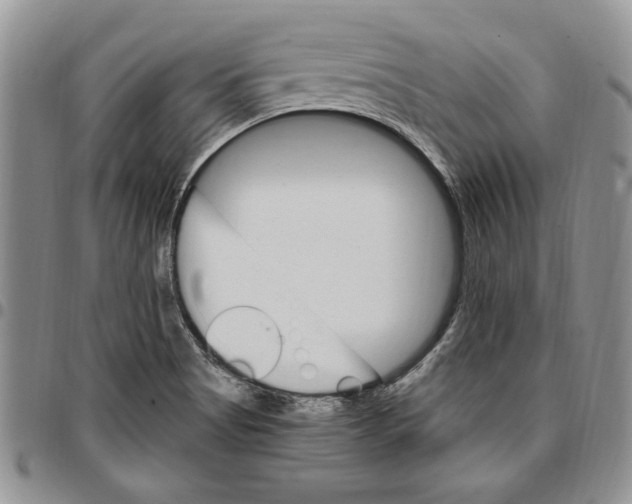 X0000096661513200803041150