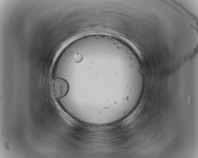 X0000096661514200803041150