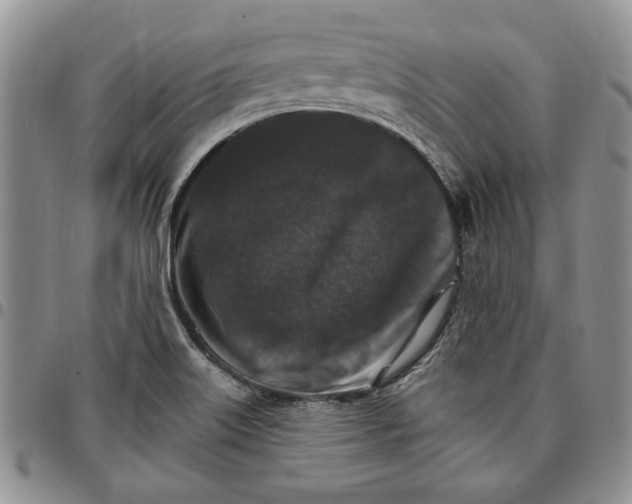 X0000096661515200803041150