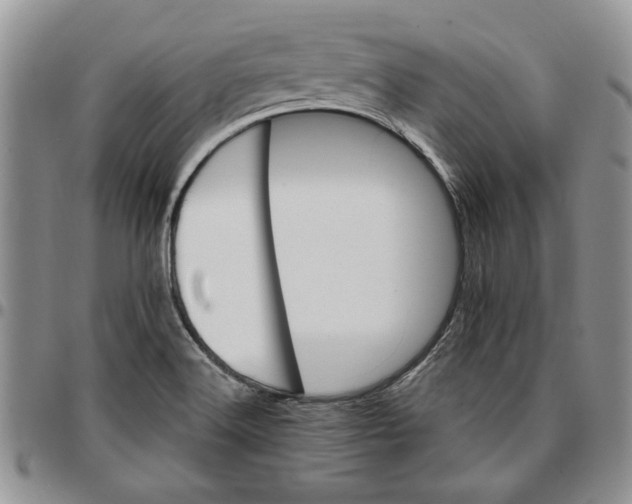 X0000096661516200803041150