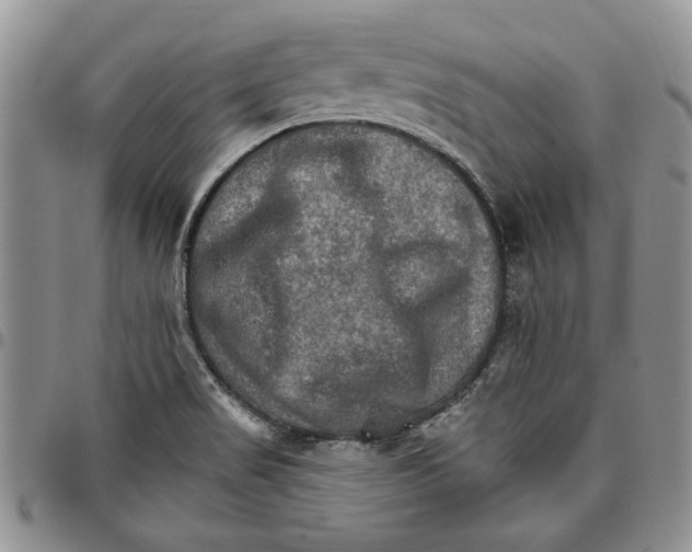 X0000096661517200803041150