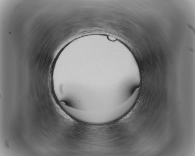 X0000096661518200803041150