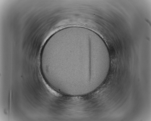 X0000096661523200803041150