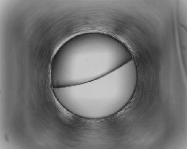 X0000096661524200803041150