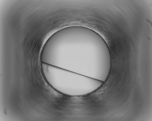 X0000096661527200803041150