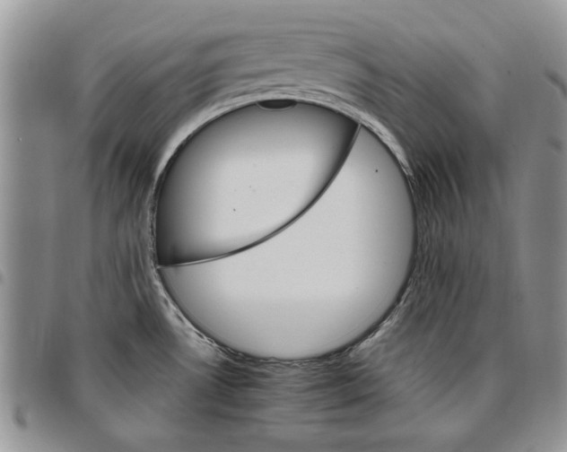 X0000096661530200803041150