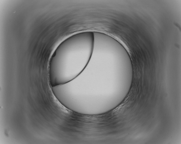 X0000096661532200803041150