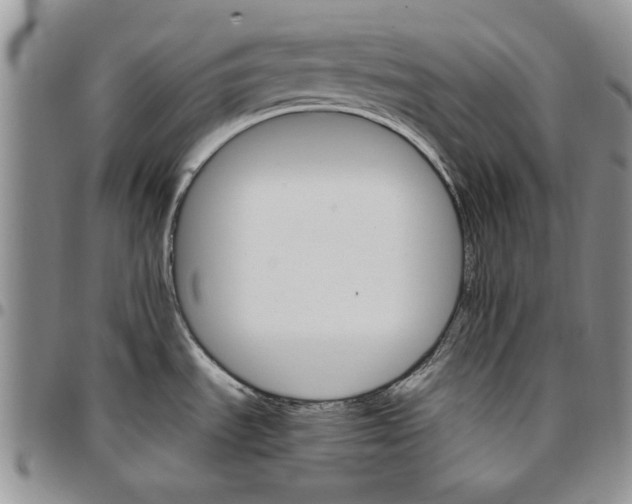 X0000096661535200803041150