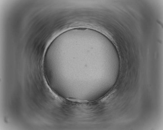 X0000096661536200803041150