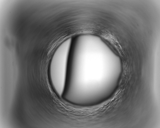 X0000096670001200802051019