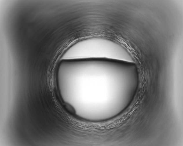 X0000096670002200802051019
