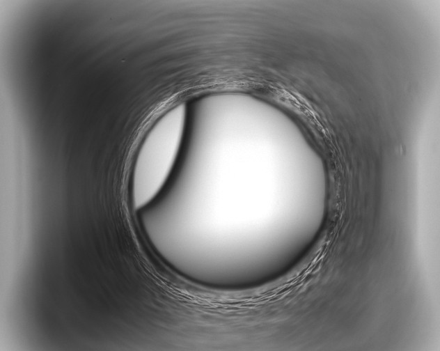 X0000096670003200802051019