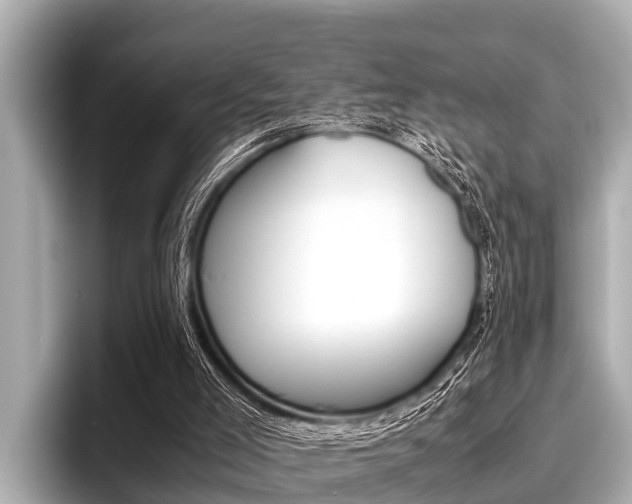 X0000096670005200802051019