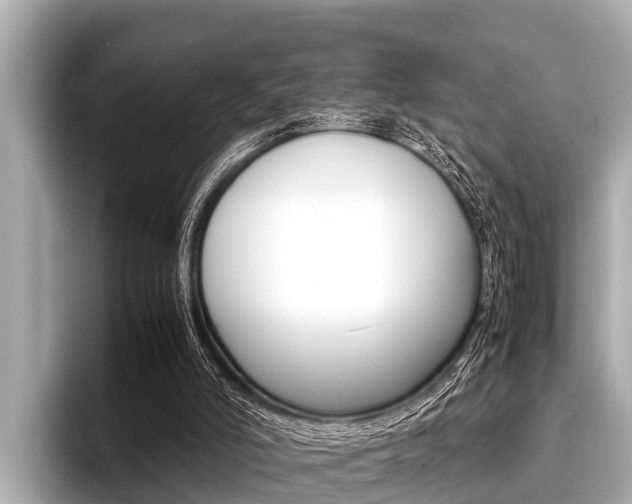 X0000096670006200802051019