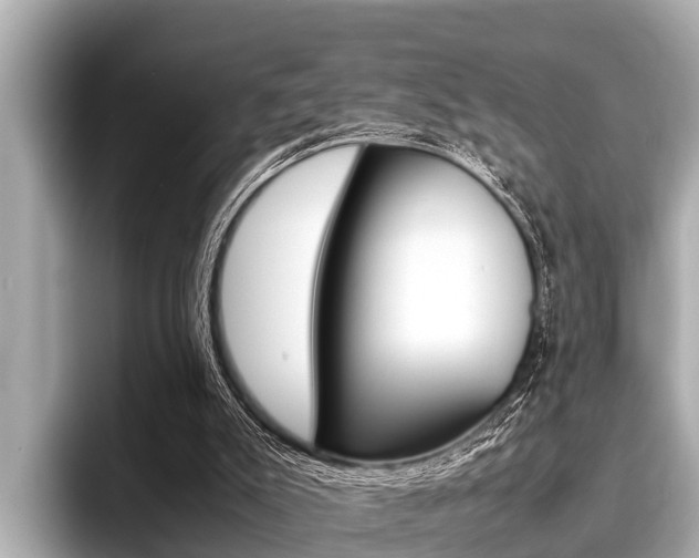 X0000096670007200802051019
