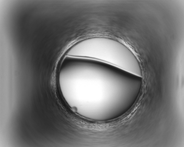 X0000096670008200802051019