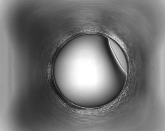 X0000096670009200802051019