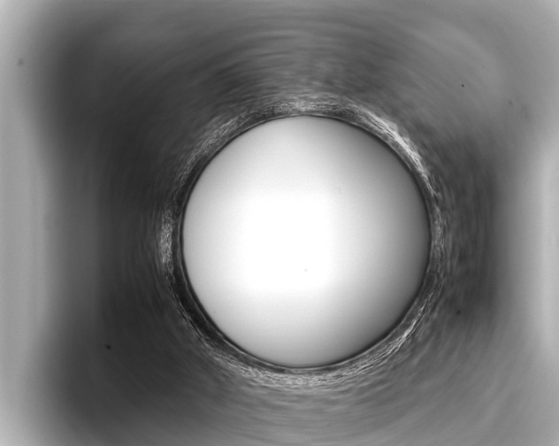 X0000096670010200802051019