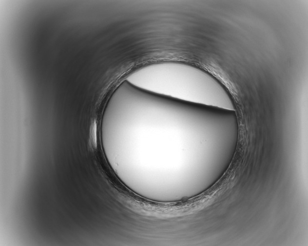 X0000096670014200802051019