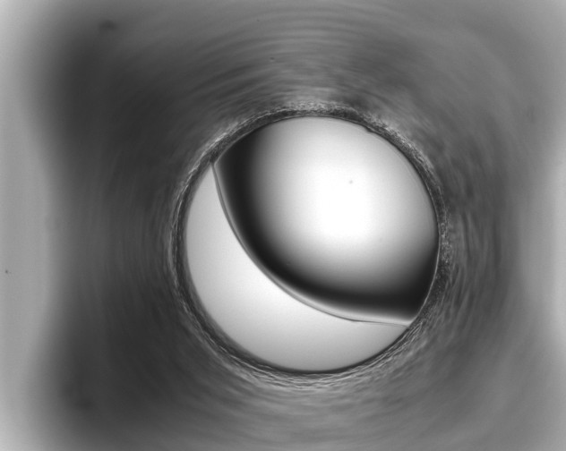 X0000096670015200802051019