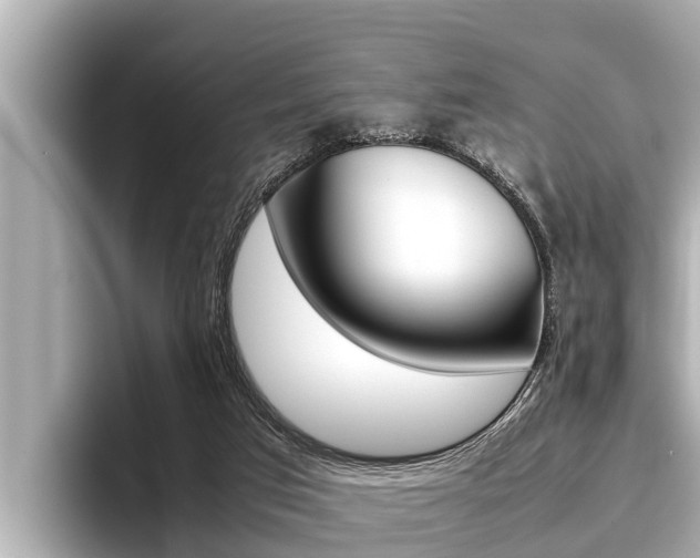 X0000096670017200802051019
