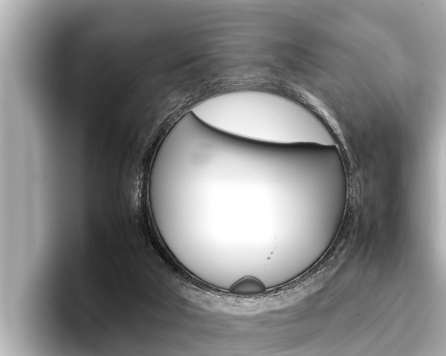 X0000096670018200802051019