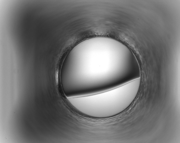 X0000096670019200802051019