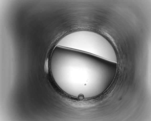 X0000096670020200802051019