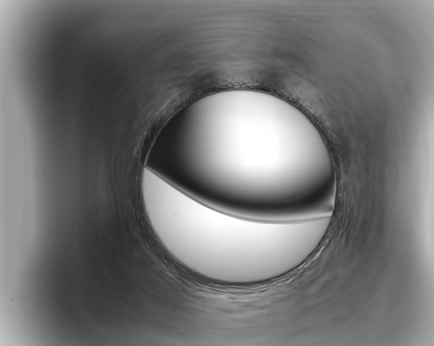 X0000096670021200802051019