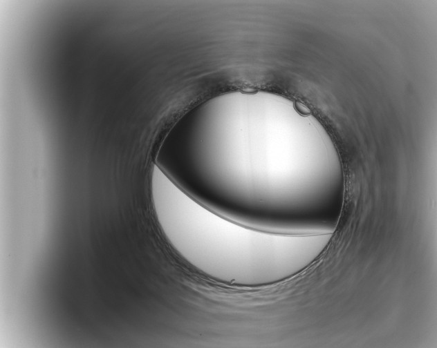 X0000096670027200802051019