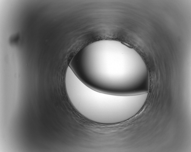X0000096670029200802051019